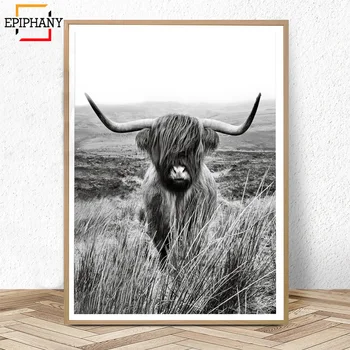 Must ja Valge Highland Lehm Prindi Talumaja Seina Decor Kunsti Lõuend Maali Loomade Suured Plakatid elutuba, Magamistuba Pildid