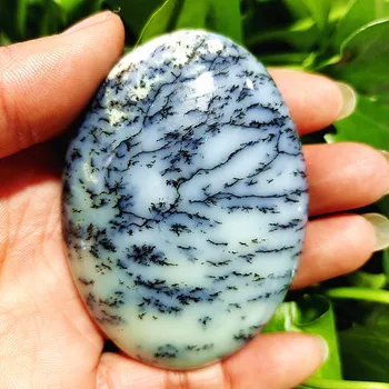 Looduslik Dendritic Opaal Puud Vee Muru Crystal Palm Vaimne tervendav Kristallid feng shui Tuba Teenetemärgi Kodus
