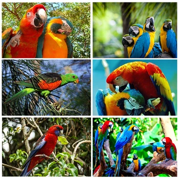 Värviline Papagoi Lind Oksad, Puit Maastiku Lõuendile Maali Loomade Prindi Plakat Seina Pilt Elutuba Decor Cuadros